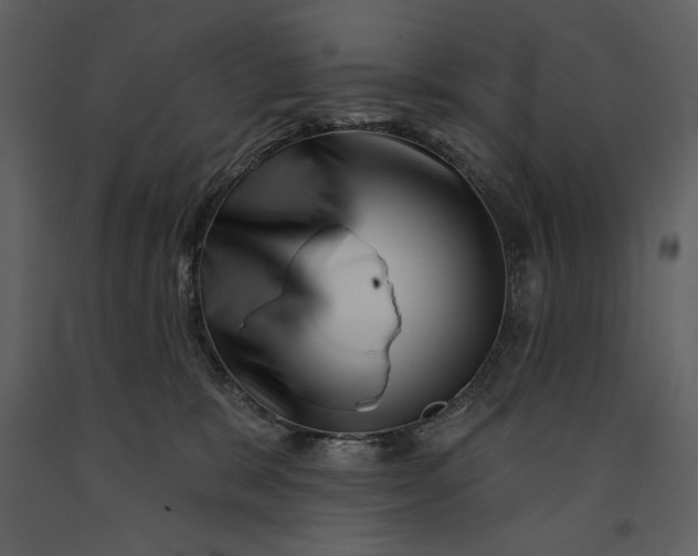 X0000090970327200708241321