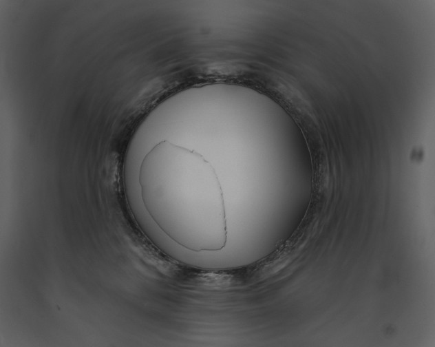 X0000090970328200708241321