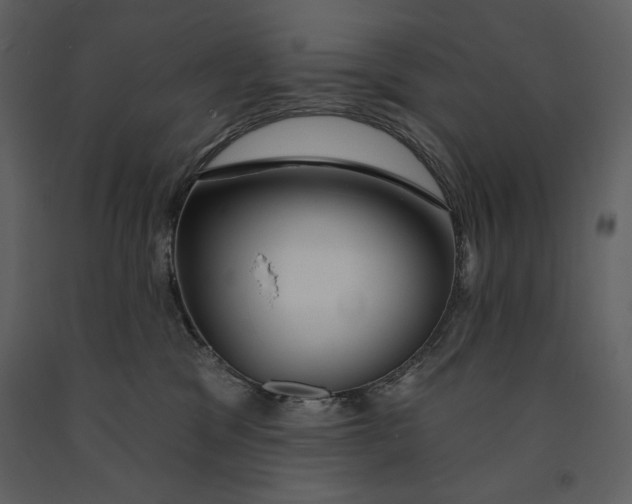 X0000090970329200708241321