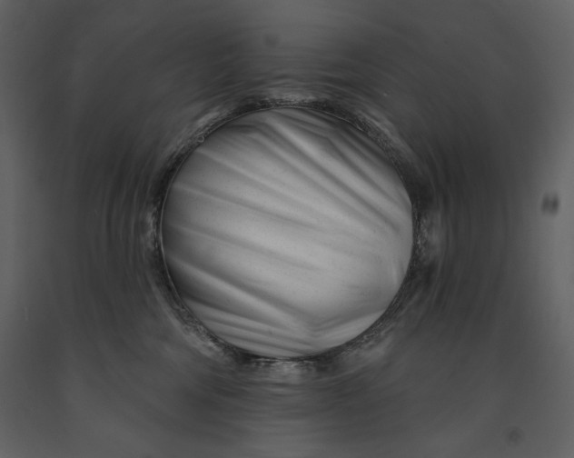 X0000090970330200708241321