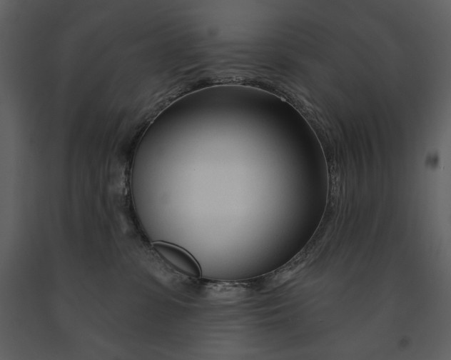 X0000090970331200708241321