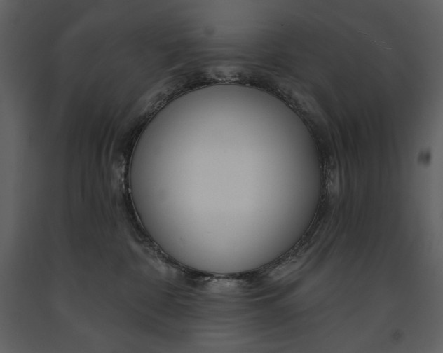 X0000090970332200708241321