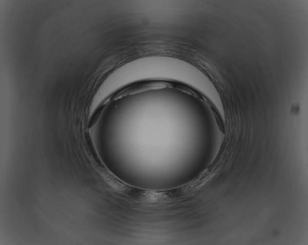 X0000090970333200708241321