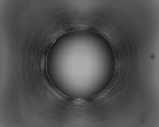 X0000090970334200708241321