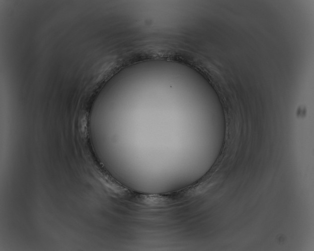 X0000090970336200708241321