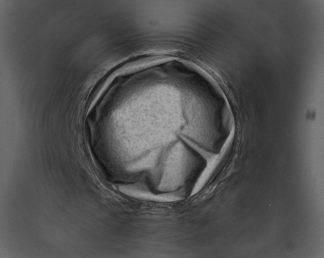 X0000090970337200708241320