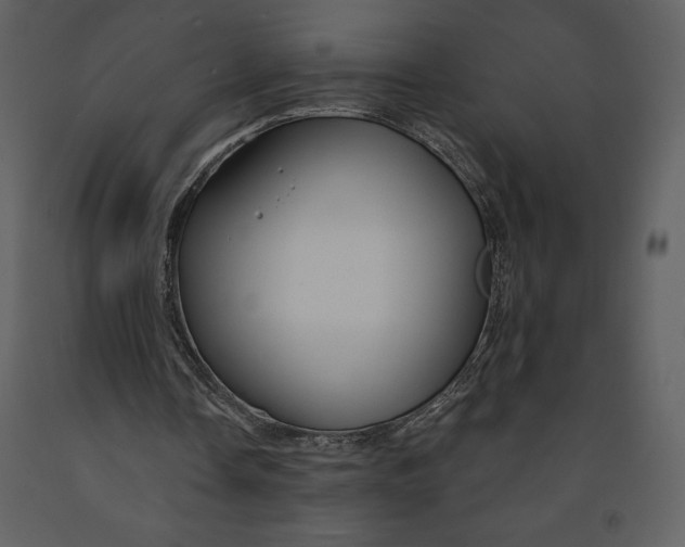 X0000090970338200708241320