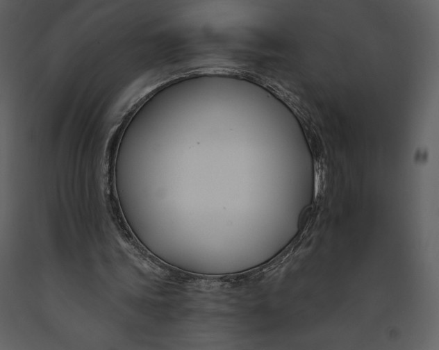 X0000090970339200708241320