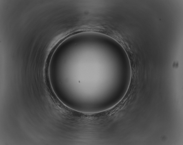 X0000090970340200708241320