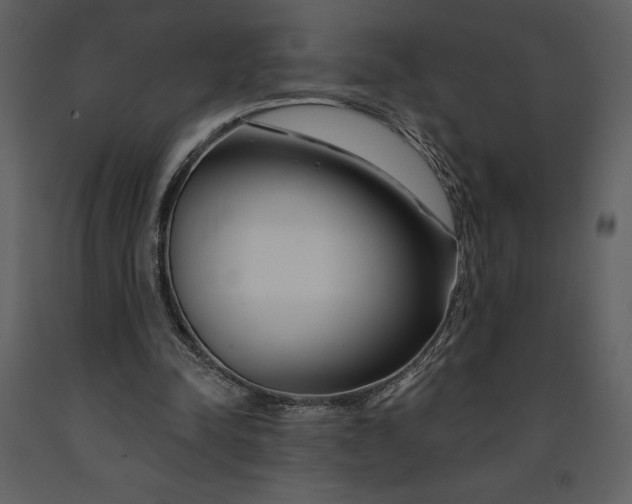 X0000090970342200708241320