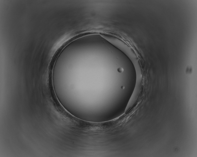 X0000090970344200708241320