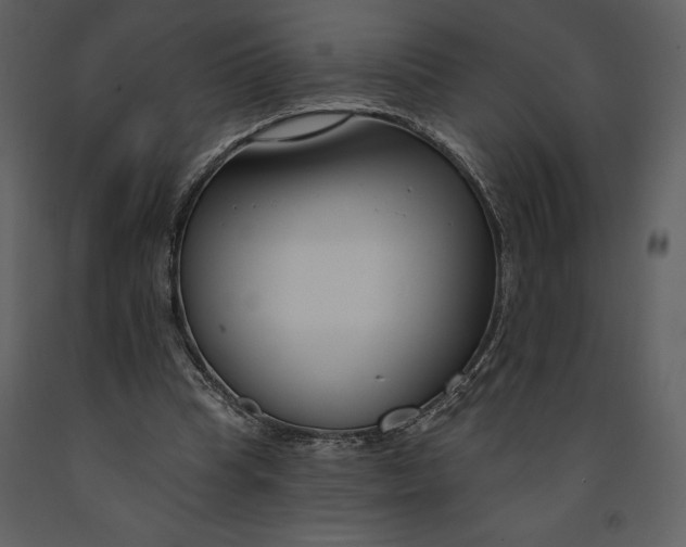 X0000090970345200708241320