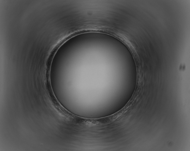 X0000090970346200708241320