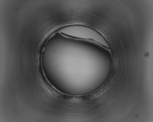 X0000090970350200708241320