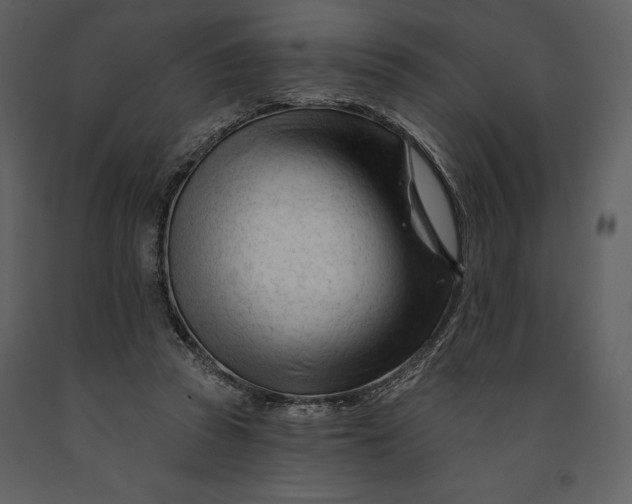 X0000090970353200708241320