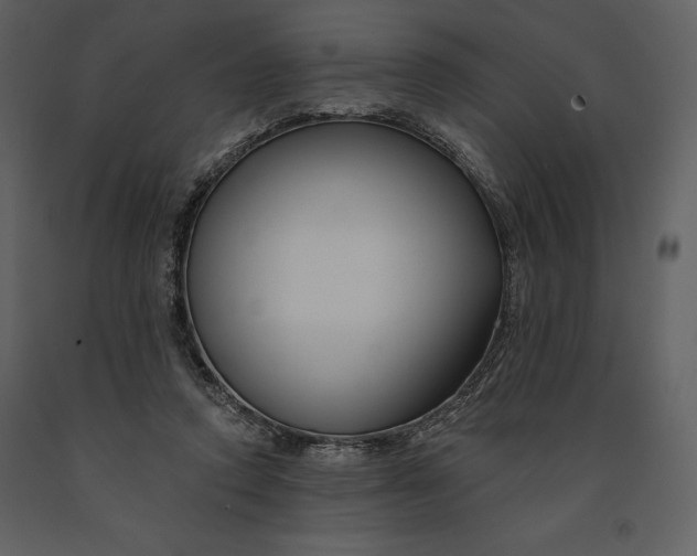 X0000090970354200708241320