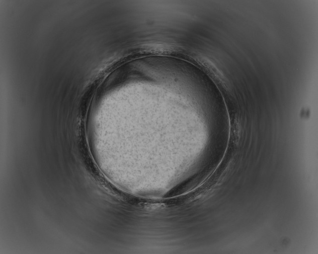 X0000090970355200708241320