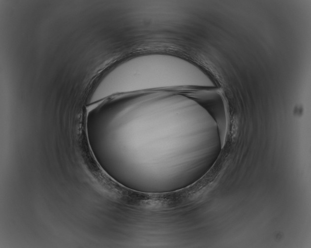 X0000090970356200708241320