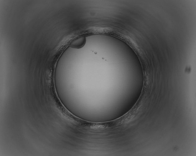 X0000090970357200708241320