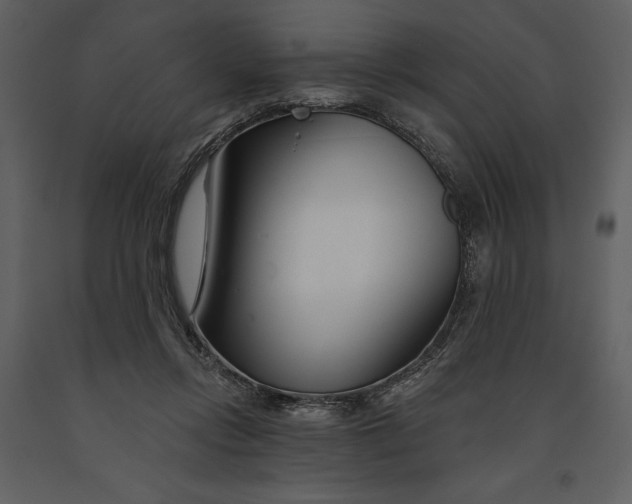 X0000090970358200708241320