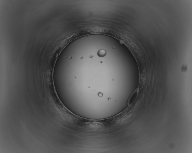 X0000090970359200708241320