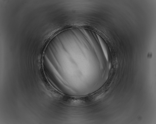 X0000090970360200708241320