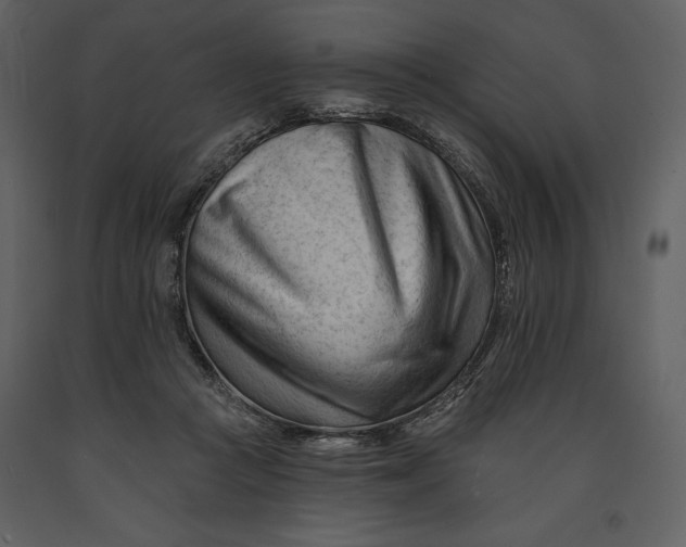 X0000090970361200708241321