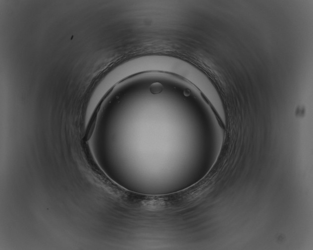 X0000090970362200708241321