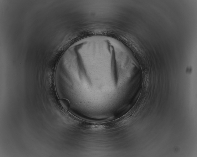 X0000090970363200708241321