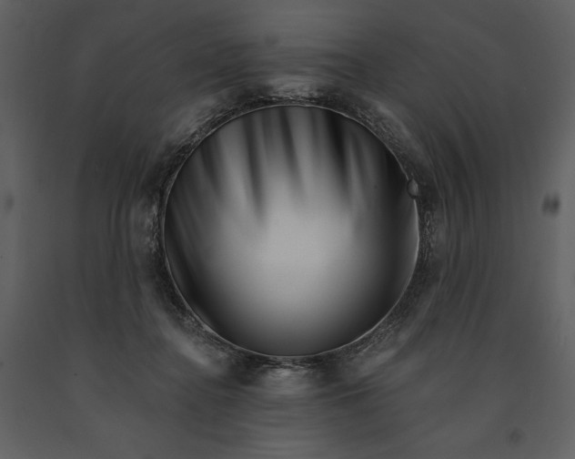 X0000090970364200708241321