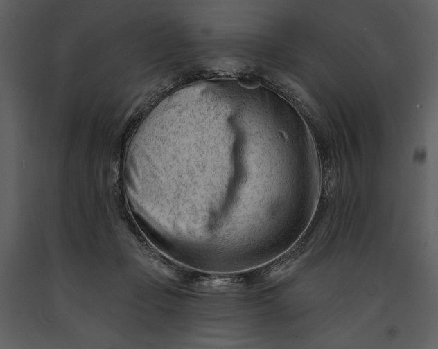 X0000090970365200708241321