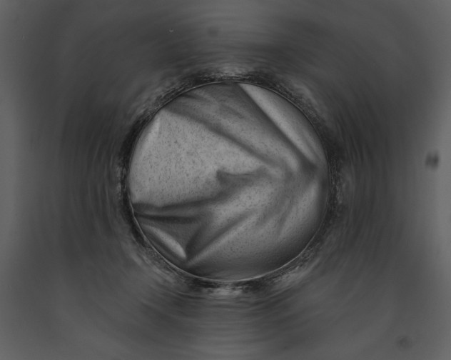 X0000090970366200708241321