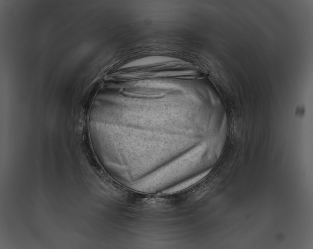 X0000090970367200708241321