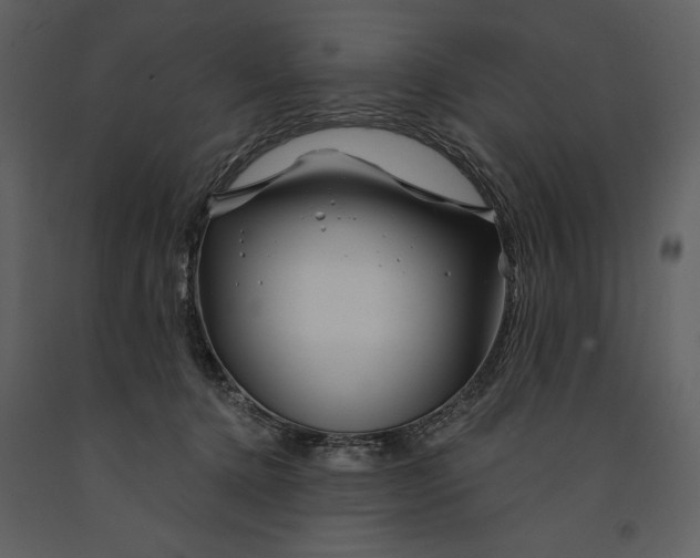 X0000090970368200708241321