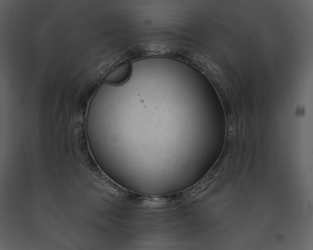 X0000090970369200708241321