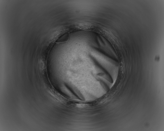 X0000090970371200708241321