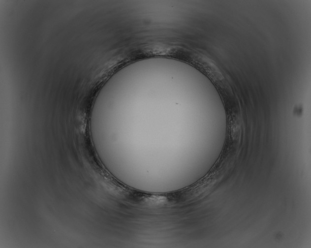 X0000090970374200708241321