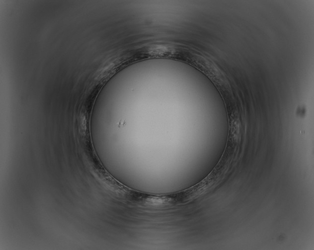 X0000090970375200708241321