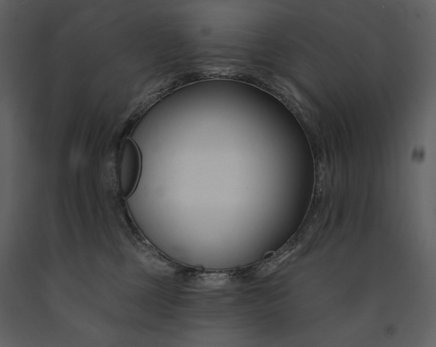 X0000090970377200708241321