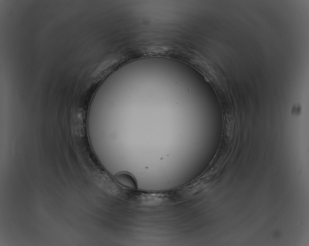 X0000090970378200708241321