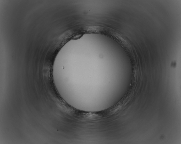 X0000090970379200708241321