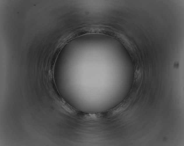 X0000090970381200708241321