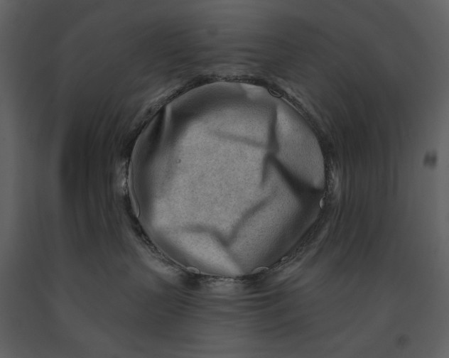 X0000090970383200708241321