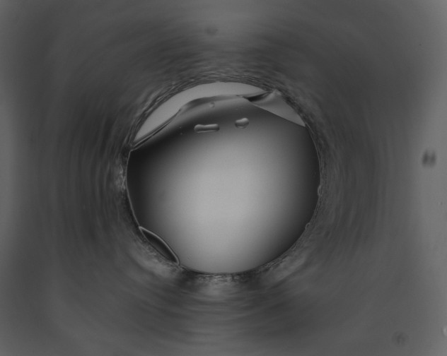 X0000090970384200708241321