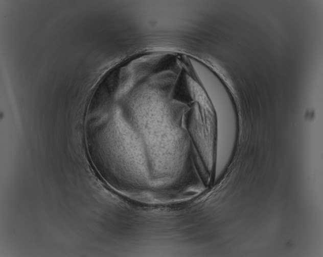 X0000090970385200708241320