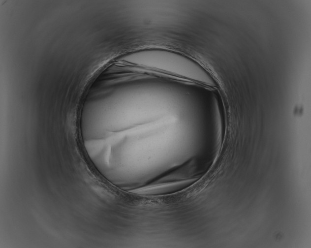 X0000090970386200708241320