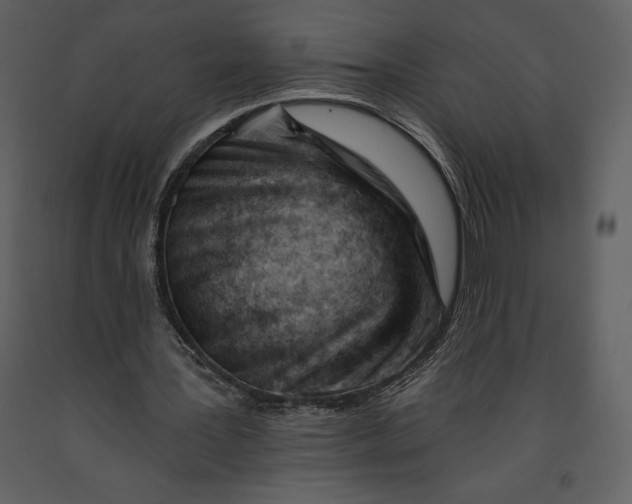 X0000090970387200708241320