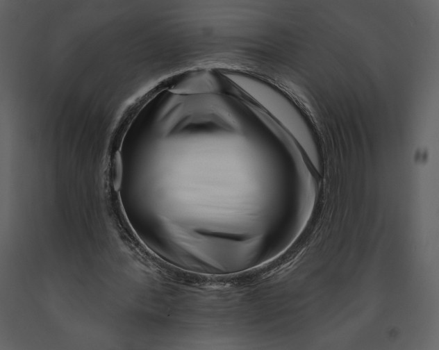 X0000090970388200708241320