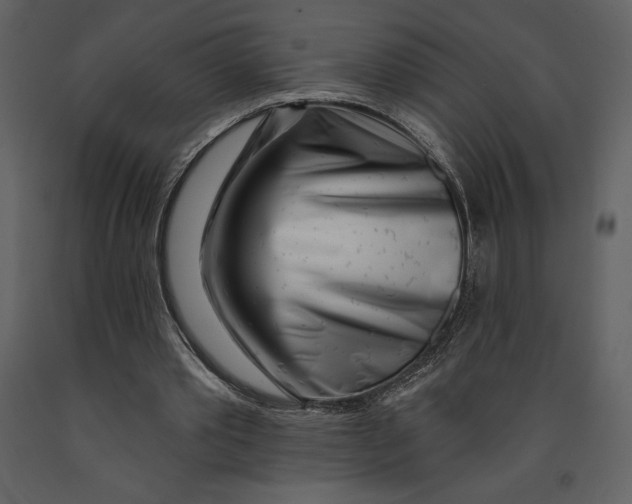 X0000090970389200708241320