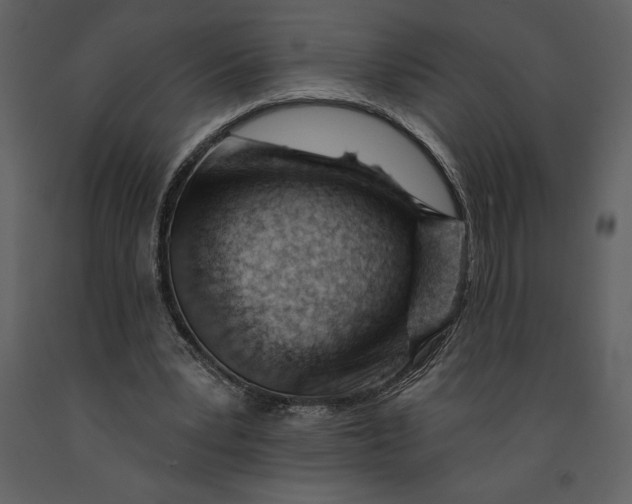 X0000090970391200708241320